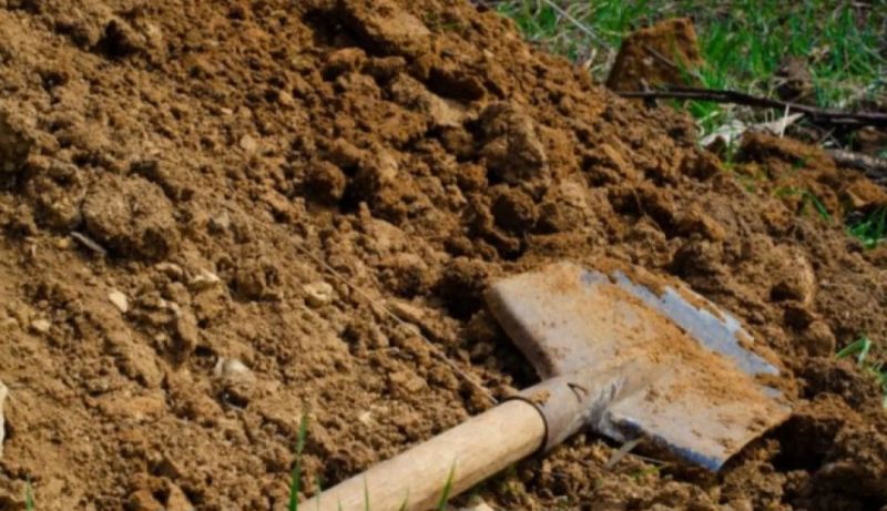 Bakıda dəhşət: Oğul anasını öldürüb həyətdə basdırdı 