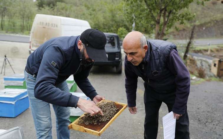 Daha 1137 şəxs məşğulluq tədbirlərinə cəlb edildi 