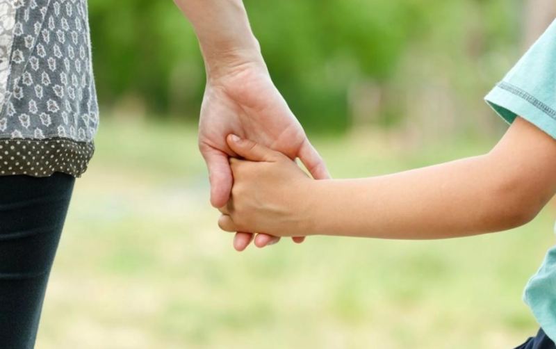 Övladlığa uşaq götürən subay şəxslərin sayı açıqlandı 