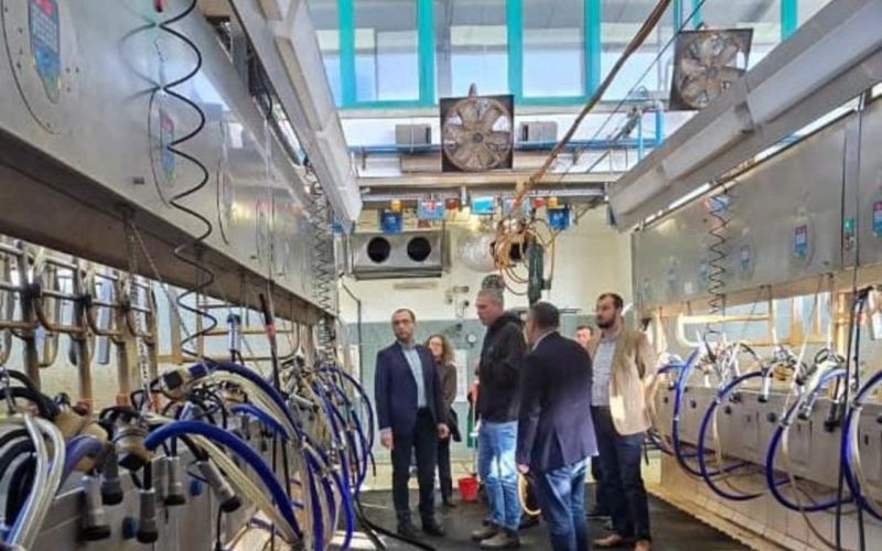Azərbaycan və İsrail birgə süni mayalanma mərkəzi yarada bilər 