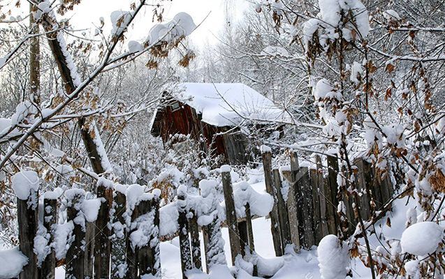 Hava şəraiti ilə bağlı məlumat 