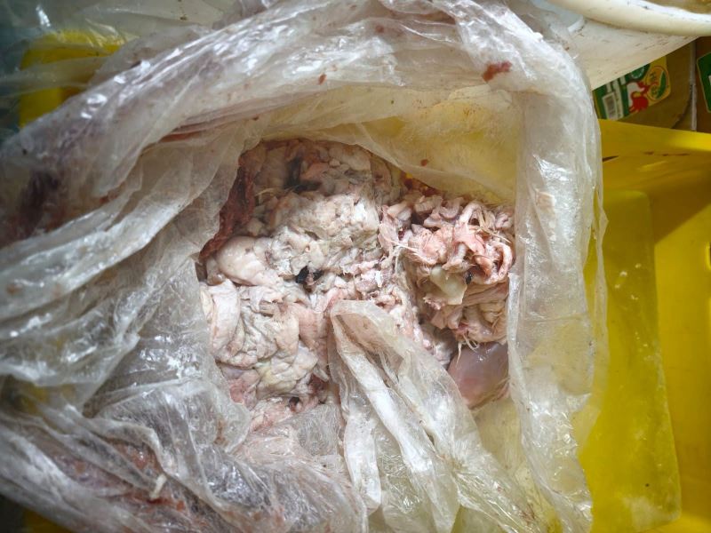 Bu məşhur şirkət tüklü toyuqlardan kolbasa hazırlayırmış - Fotolar 