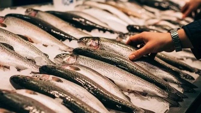 Bakıda yeni təhlükə: bu məhsulları almayın - Rəsmi 