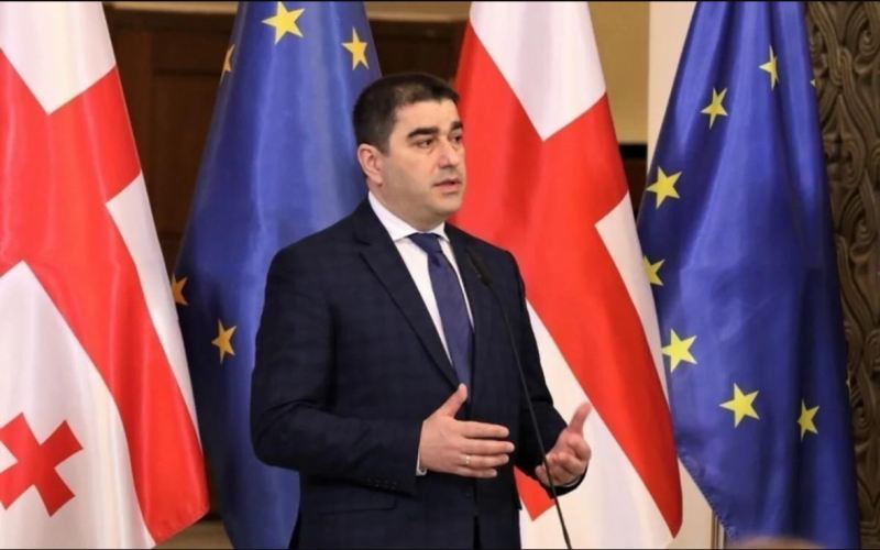 Şalva Papuaşvili: Elektrik sisteminin ardıcıl dayanması qeyri-adi hadisədir,  bütün detallar araşdırılmalıdır