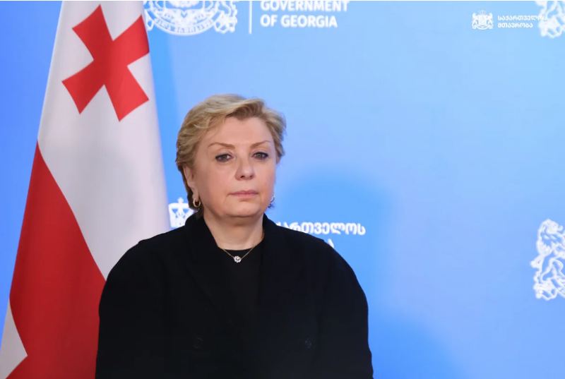 Gürcüstanın mədəniyyət naziri istefa verib 