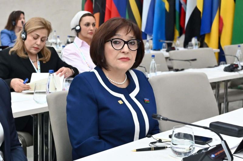 Sahibə Qafarova Belqradda konfransında çıxış etdi - Fotolar 