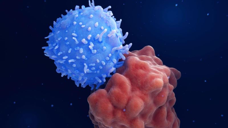 Xərçəngə qarşı dünyada bir ilk : Yeni peyvənd hazırlandı