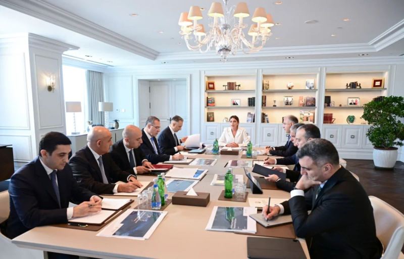 Birinci vitse-prezident Mehriban Əliyevanın sədrliyi ilə Rəqəmsal İnkişaf Şurasının ilk iclası keçirilib - FOTO