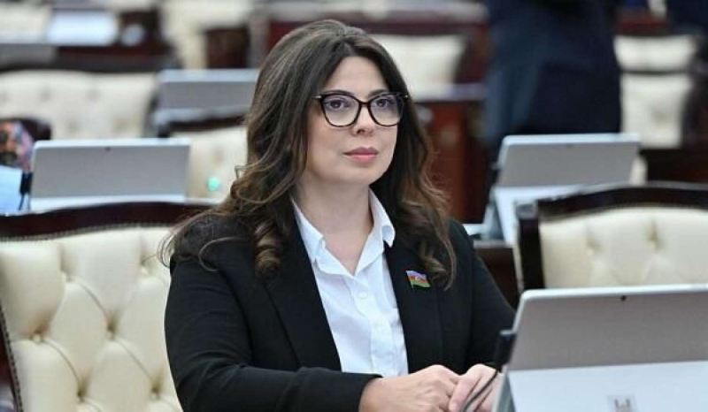 Azərbaycanlı deputata vəzifə verildi 