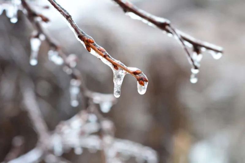 Hava kəskin DƏYİŞİR - 20 dərəcə şaxta olacaq 
