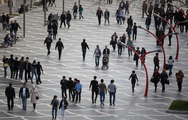 Hantavirusa ölkəmizdə yoluxma olub? - RƏSMİ 