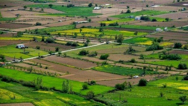 İki rayonda torpaq bahalaşdı - Video 