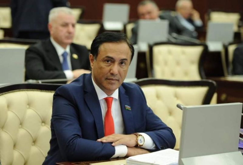 Nankorlar, murdar məxluqlar ... - Elman Nəsirov onları topa tutdu