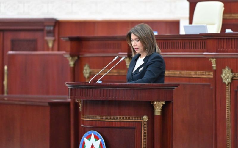 Erkən evliliklər və azyaşlı anaların sayı 50 faizə yaxın azalıb - Komitə sədri 