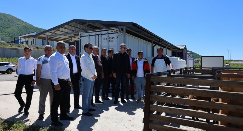 Laçında qurbanlar kəsilib 